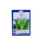 Mascarilla Facial Aloe Vera